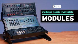 Introducing modules for KORG wavestate opsix and modwave