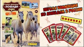PANINI Новинка Альбом для наклеек Самые красивые лошади мира 2023 год.Обзор и распаковка пакетиков