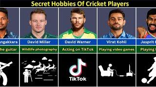 Secret Hobbies of Famous Cricket Players  Data Return