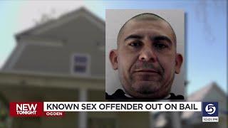 Convicted Sex Offender Facing New Charges Released from Jail