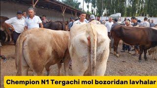 Tergachi mol bozori ģunajinlar VA sigirlar narhlari bilan tanishing 21.06.2024yil