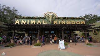 DISNEYS ANIMAL KINGDOM - Park Vorstellung für Erstbesucher - Walt Disney World - Florida