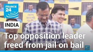 Indian court releases top opposition leader from jail on bail during elections • FRANCE 24 English