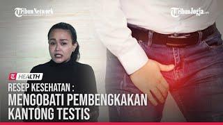  4 Cara Mengobati Varikokel atau Pembengkakan Pada Kantong Testis