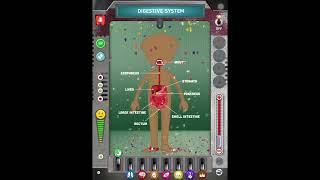 The digestive system - from How does the Human Body work? apps - Learny Land