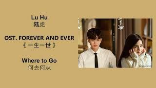 Where to Go 何去何从 by Lu Hu 陆虎  FOREVER AND EVER OST 《一生一世》 CHNPINYINENG Lyrics