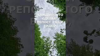 #подаркиотвселенной