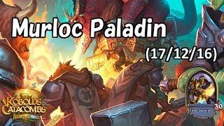 Hearthstone Murloc Paladin No Commentary 20171216