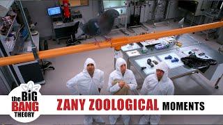 Zany Zoological Moments  The Big Bang Theory
