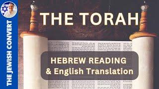 The Complete TORAH  5 Books of Moses HEBREW Reading & ENGLISH Translation  TORAH STUDY