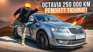 SKODA OCTAVIA A7 250 000 км тюнинг вместо ремонта