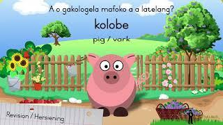 Setswana - Intermediate Phase - Abuti Syllabus - Lesson 25Les 25 - Farm AnimalsPlaasdiere