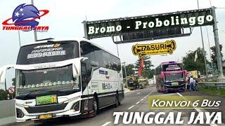 EPIC MOMEN ‼️ KONVOI 6 BUS VIRAL TUNGGAL JAYA  jalur Bromo