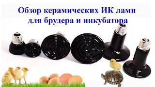 Обзор керамических ИК ламп для брудера и инкубатора Obzor keramicheskikh IK lamp