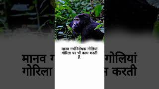 मानव गर्भनिरोधक गोलियां  @Nihal K Facts @Mast Facts #shorts #viral