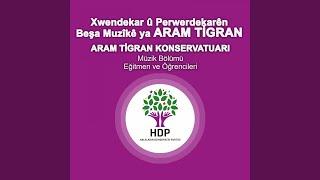 Stranên Hilbijartinê HDP 2015