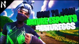 How to Join Nature Join a Fortnite Clan