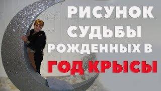 Рисунок Судьбы Рожденных В Год Крысы. Как Воспитывать Ребенка Года Крысы?