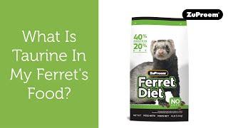 What is Taurine and Why is it in my Ferret’s Food?  Tips for Ferret Owners