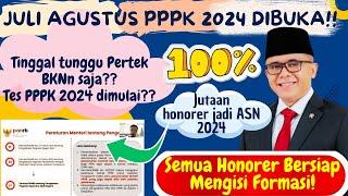 INFO HARI INIJENIS HONORER BISA DAFTAR PPPK 2024LANGKAH DAFTAR DAN SOLUSI PEMDA JIKA TAK LOLOS