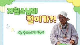 무주상보시는 진짜 공덕이 있을까? 명상과 간화선이란??? - 자현스님의 절이가?