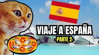 VIAJE A ESPAÑA  parte 2 meme de gatos