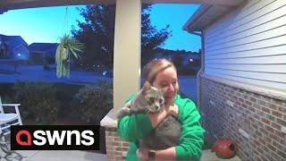Doorbell cam captures emotional moment cat owner is reunited with lost pet  SWNS