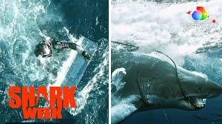 Shark Attack Diver Swims for His Life  Great White Open Ocean  discovery+