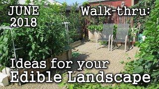 2018 June Urban Garden  Edible Landscaping Tour + Plant & Book Ideas Albopepper Walk-thru