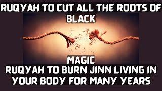 Ruqyah to cut all the Roots of Magic  Ruqyah to destroy Jinn living for long time in body