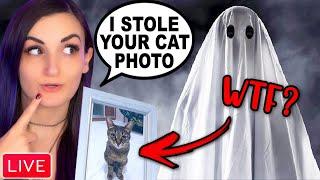 Stealing Cat Photos From GHOSTS w Gloom & ShowThyme New Update