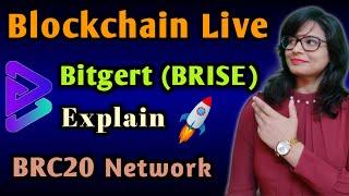 Bitgert Coin  bitrise coin  Bitgert token news today  How to buy bitgert coin bitgert coin price