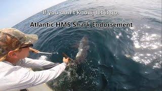 Atlantic Recreational Shark Fishing Handling and Release of Sharks