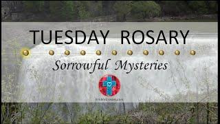 Tuesday Rosary • Sorrowful Mysteries of the Rosary  May 28 2024 VIRTUAL ROSARY - MEDITATION