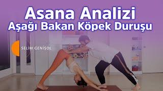 Asana Analizi - Aşağı Bakan Köpek Duruşu