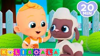 Baa Baa Black Sheep  and more Nursery Rhymes  KOLI KOALA  Kids Songs