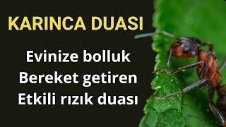 Karınca duası dinle Bereket Rızık duası dinle  Evinize Bol Rızık için KARINCA DUASI 