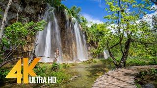 4K Virtual Walking Tour around Plitvice Lakes Croatia - Amazing Nature Scenery with Soothing Sounds