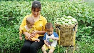 Single mother raising two children Harvesting eggplants to sell Cooking fish Making pig pens