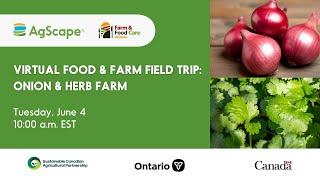 Virtual Field Trip- Onion + Herb Farm