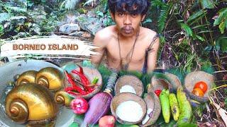 Primitive of Technology - Borneo Island - Cooking Snails with Banana Heart