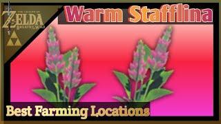 Warm Stafflina Farming Locations-Zelda Breath of The Wild