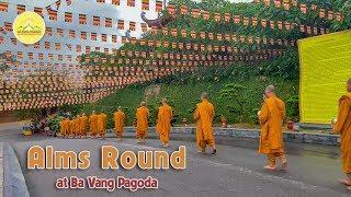 Alms Round  3 Days Before Buddhas Birthday Celebration  Vietnam