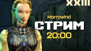 Чем я могу вам помочь?  Morrowind  Стрим