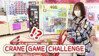 NO BUDGET Japan Crane Game Challenge