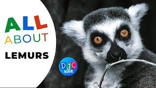 Fun Facts about Lemurs Exploring Madagascars Coolest Creatures 