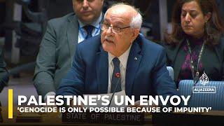 ‘Genocide is only possible because of impunity’ Palestine’s UN envoy