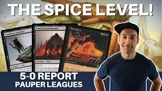 DIVERSITY + SPICE MTG Pauper 5-0 Trophies are looking pretty nice and the spice level is HIGH