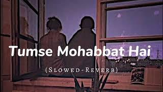 Tumse Mohabbat Hai Slowed-Reverb  Lofi Song 