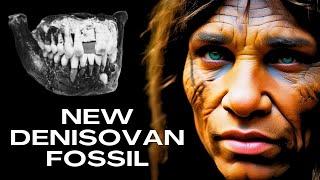 A New Denisovan Fossil Discovered on Tibetan Plateau